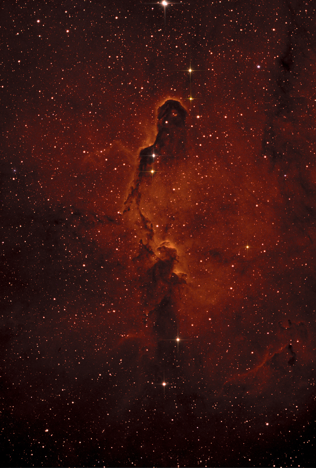 IC1396