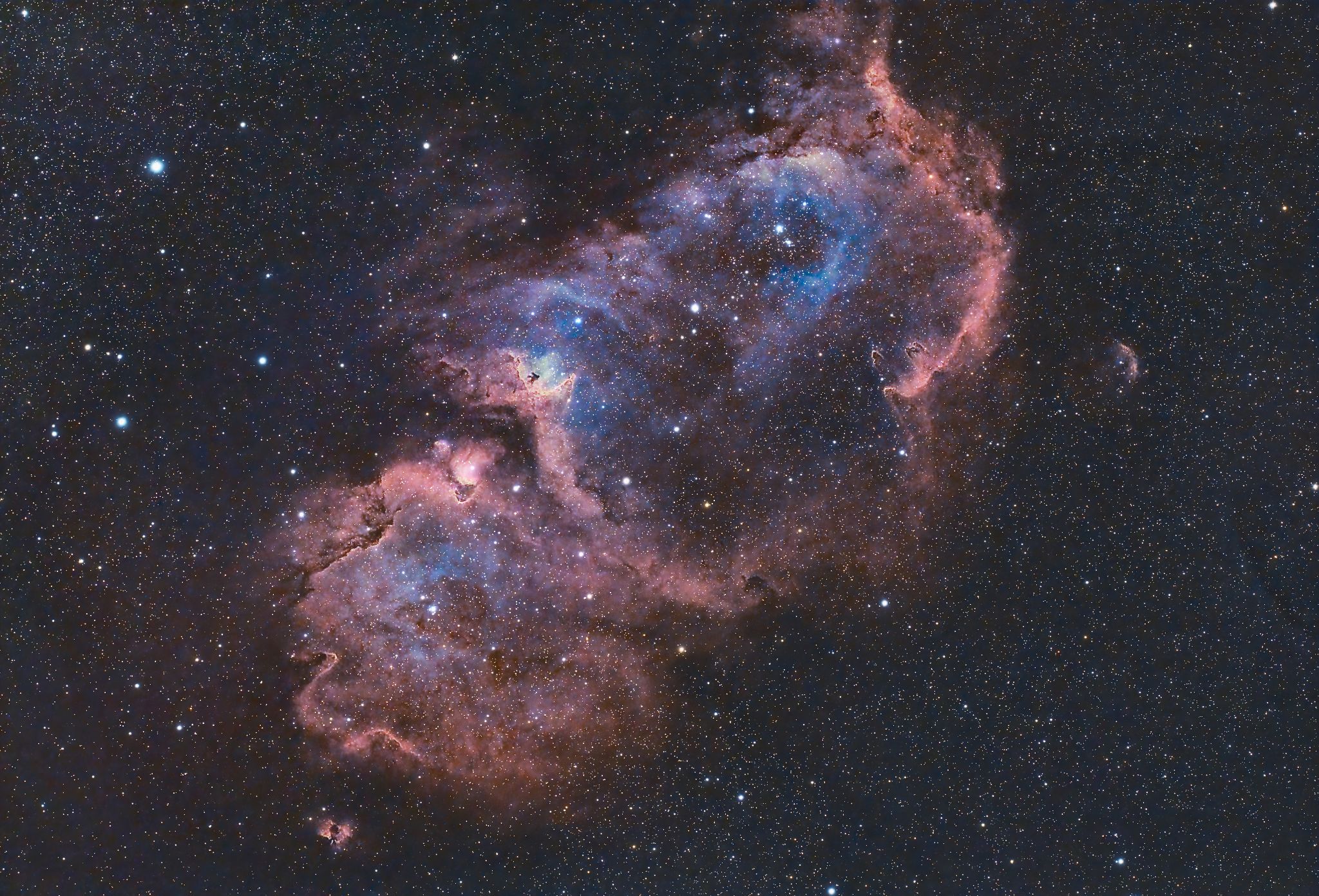 IC1848