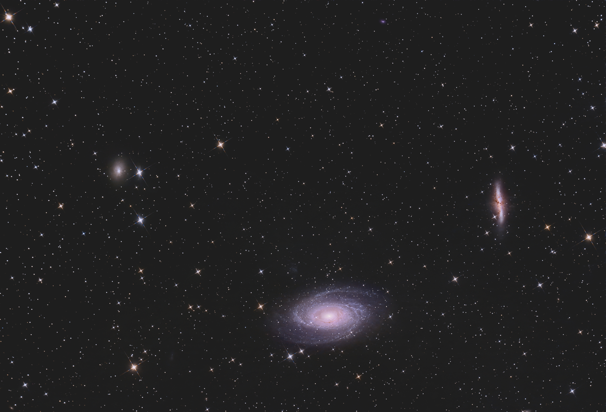 M81